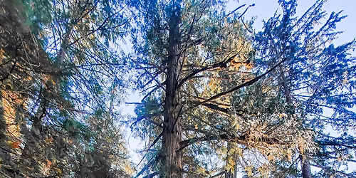 Depth of Practice Retreat Weekend