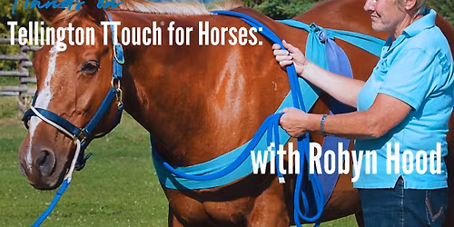 Tellington TTouch for Horses with Robyn Hood: Soest, Netherlands