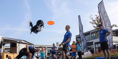 NFM Cup 2026 UFO Major