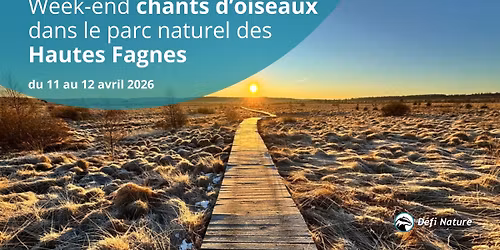 \ud83c\udfe8 S\u00e9jour | Week-end chants d'oiseaux dans le Parc naturel des Hautes Fagnes