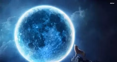 Monthly Full Moon Meditation w\/ Lynn (Blue Moon)