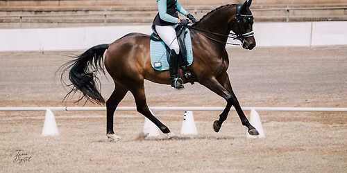 Members Training and Ribbon days