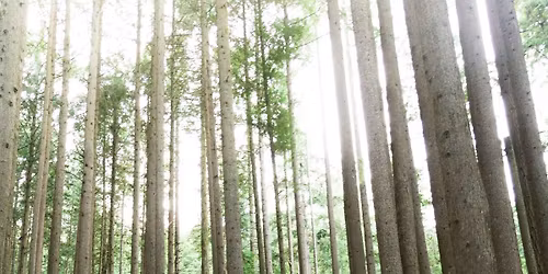 Seattle, WA | PMBIA AIR Module