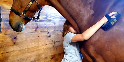 Hearts and Hooves Community Day