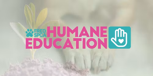 Animal Allies Academy: Earth Paws, Ages 6-9