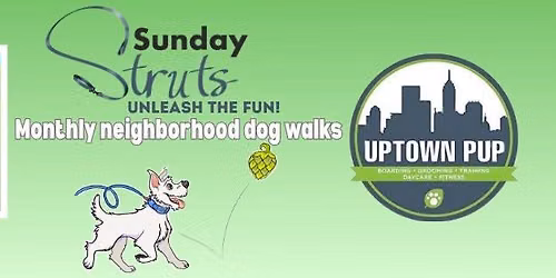 Sunday Struts, Neighborhood Dog Walks