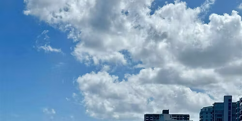 Bilingual Yoga en la Playa