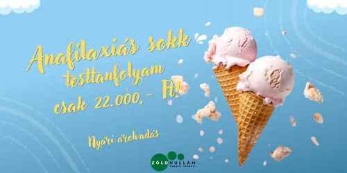 ANAFILAXI\u00c1S SOKK \u00e9s M\u00c9LYLAZ\u00cdT\u00c1S Access Energetikai Testkezel\u00e9s Tanfolyam PEST