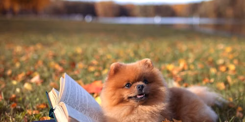 The Canine Library
