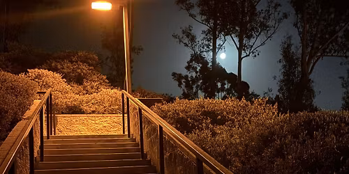 Friday Night Park Workout