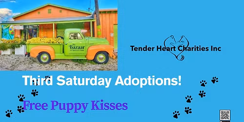 LIMELIGHT MARKET at The Bazaar