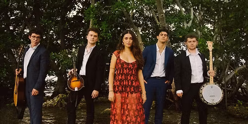 The Wire Jays- Live at Luna Star Cafe