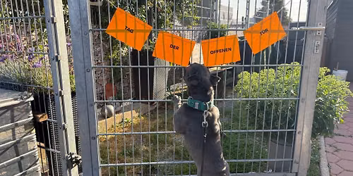 Tag der Offenen T\u00fcr - Tierheimfest