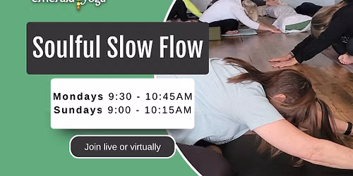 \ud83e\uddd8\u200d\u2640\ufe0fSoulful Slow Flow - Live + Virtual