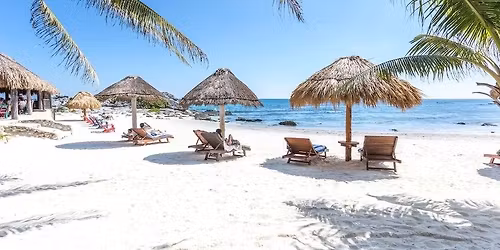 The Tulum Adventure Retreat 