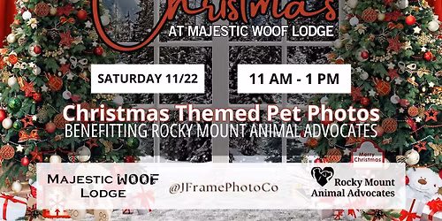 Christmas Pet Photos at Majestic Woof Lodge