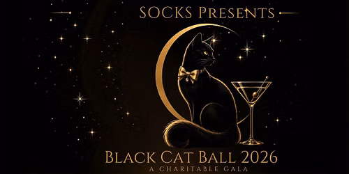 Black Cat Ball