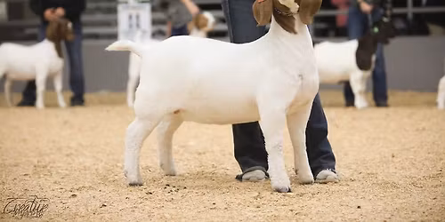 9th Annual Sunshine State Classic 