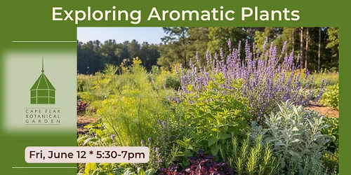 Scents & Sensibility: Exploring Aromatic Plants Seminar at the Garden