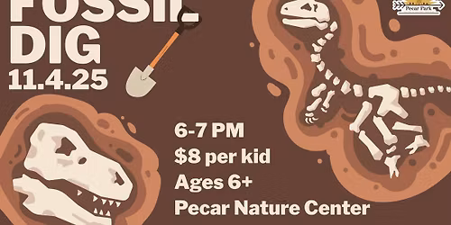Fossil Dig