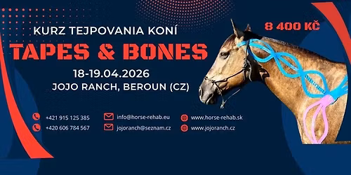 Kurz tejpovania kon\u00ed TAPES & BONES