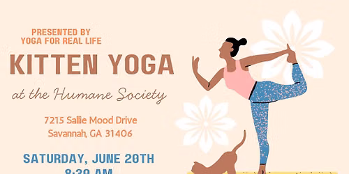 Kitten Yoga at the Humane Society 