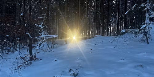 Winter Retreat: Embracing the Darkness and Cyclical Feminine