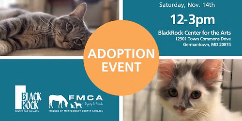 Adoption Event