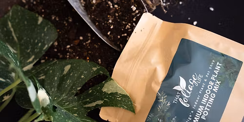 That Foliage Life RE-LAUNCH DAY!!! \ud83c\udf3f