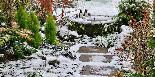 John's Garden December Open Days