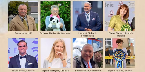 4 SUMMER NIGHT SHOWS SPLIT 2026