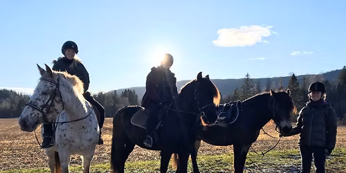 Damenes dag: HEST & YOGA