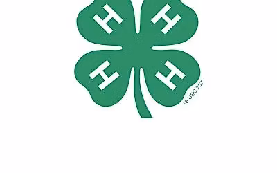 Woodworking 4-H Camp