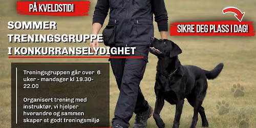 Sommer treningsgruppe i konkurranselydighet - kveldstid