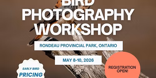 Bird Photography Workshop For Women