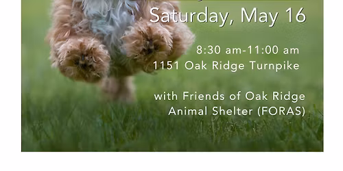 Adoption Event at Bud\u2019s Farmhouse Coffee - meet adoptable dogs from Oak Ridge Animal Shelter