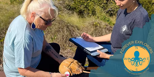 Forever Explorers Conservation Program: Horseshoe Crab Surveys