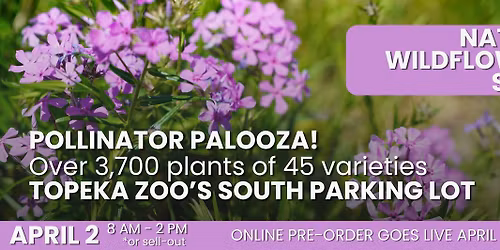 Pollinator Palooza! Native Wildflower & Plant Sale