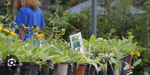 Annual Plant Sale