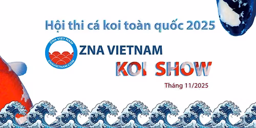 ZNA VietNam Koishow