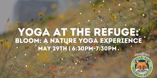 Bloom: A Nature Yoga Experience