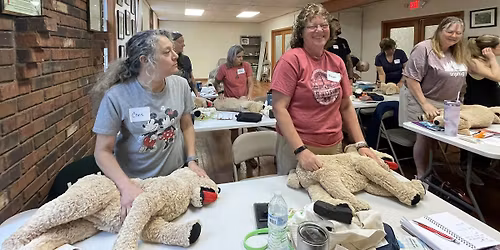 Dog CPR, First Aid, & Hiking