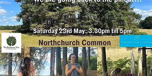 Flow Dance Meditation and Pine Forest Sound Bath - Berkhamsted