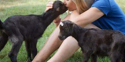 December Private Tours! Engage with the Animals