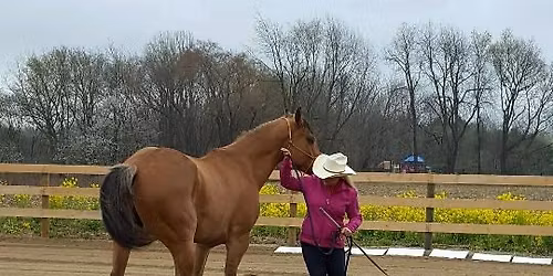 2-Day Beginner's Groundwork and Riding with Confidence Clinic