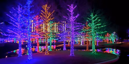 Magical Winter Lights