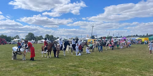 Tenbury show Horse and Pony section 