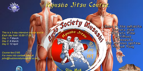 Kyusho Jitsu 3-Day Course \u2013 The Art of Pressure Point Fighting