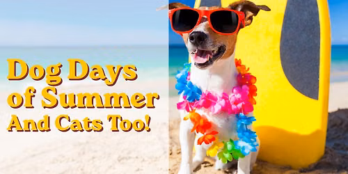 Dog Days of Summer And Cats Too!