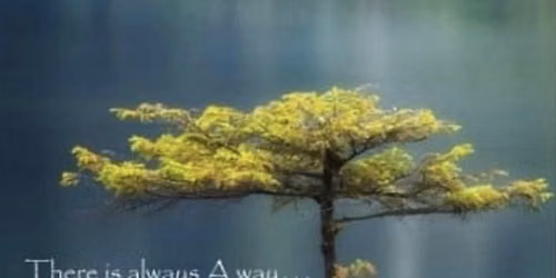 Rooted In Worth Yoga Workshop For Self-Esteem and Inner Confidence